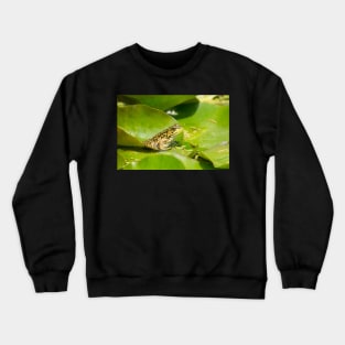 Prince James Gardens Crewneck Sweatshirt